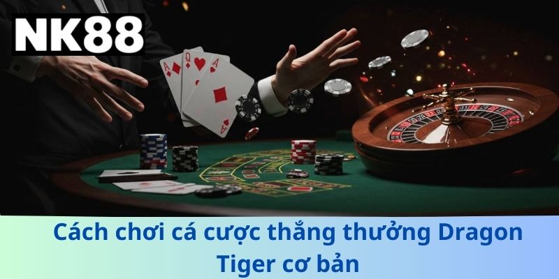 Cách chơi cá cược thắng thưởng Dragon Tiger cơ bản